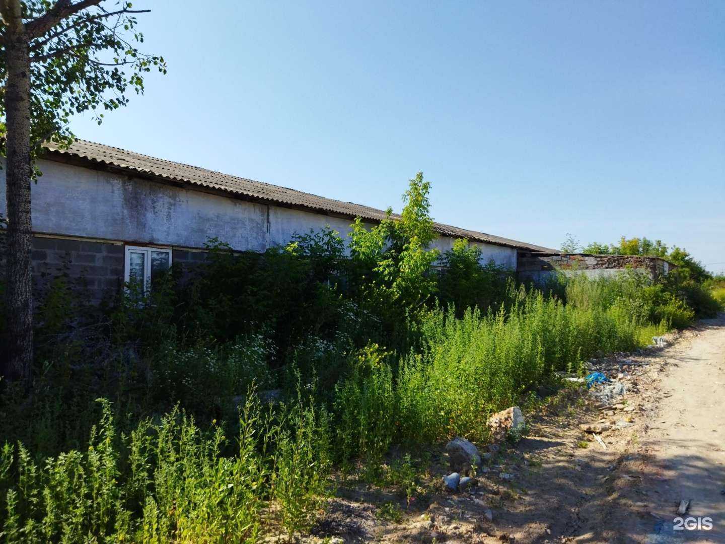 Отзывы на компанию Б40 в Тюмени c фото