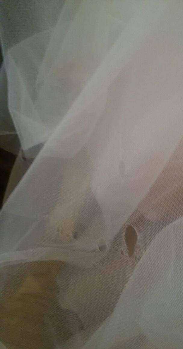 Отзывы на компанию PrimaVera в Ставрополе c фото