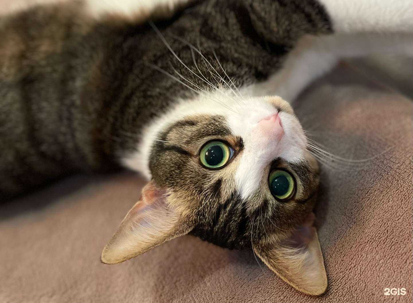 Отзывы на компанию Астин в г. Балашиха c фото