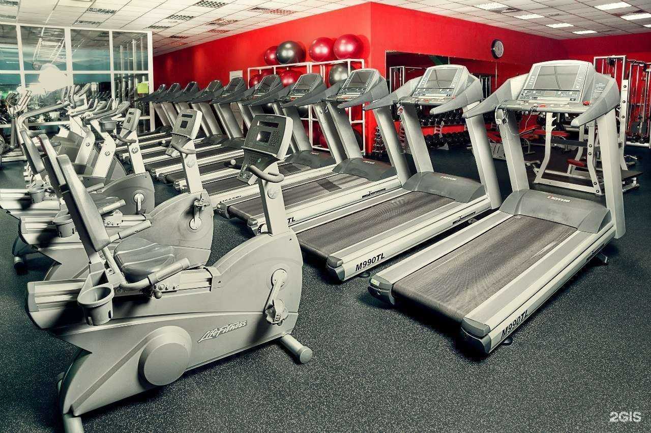 Отзывы на компанию CityFitness в Новокузнецке c фото