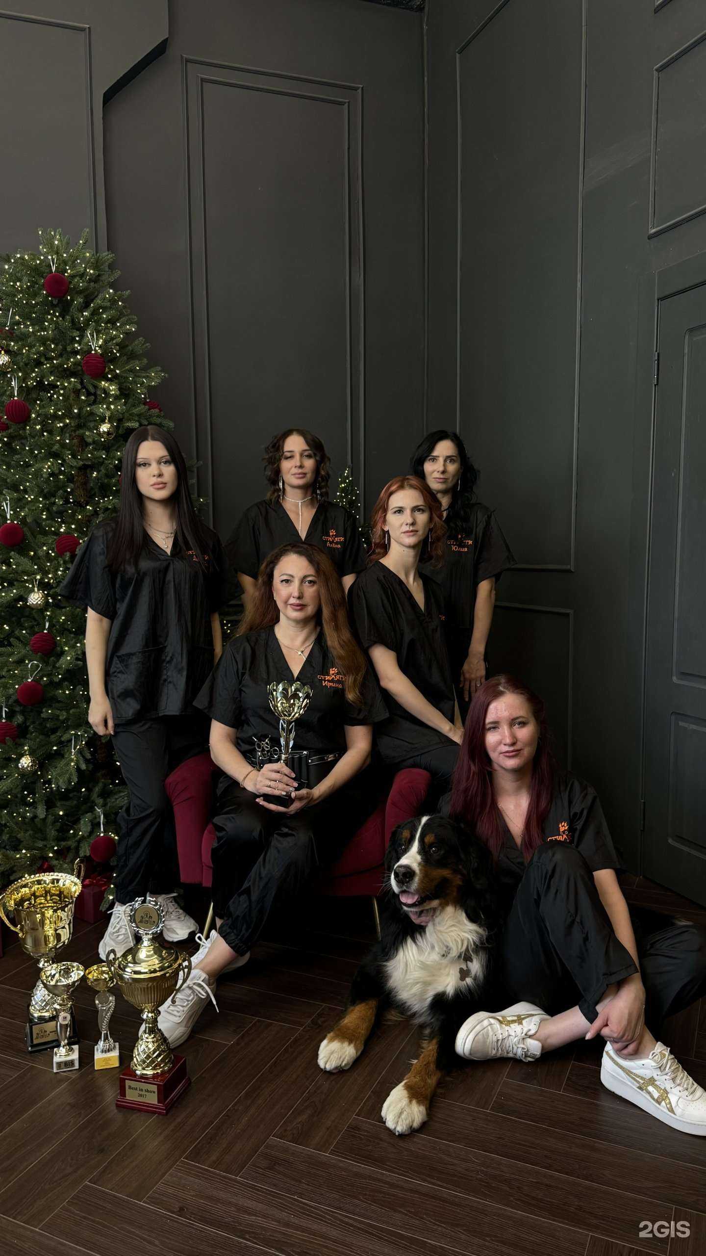 Отзывы на компанию Стиляги в г. Владивосток c фото