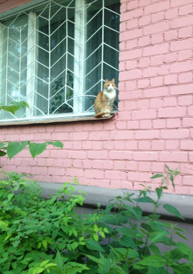 Отзывы на компанию Опора в Ярославле c фото - фотография 2 из 2