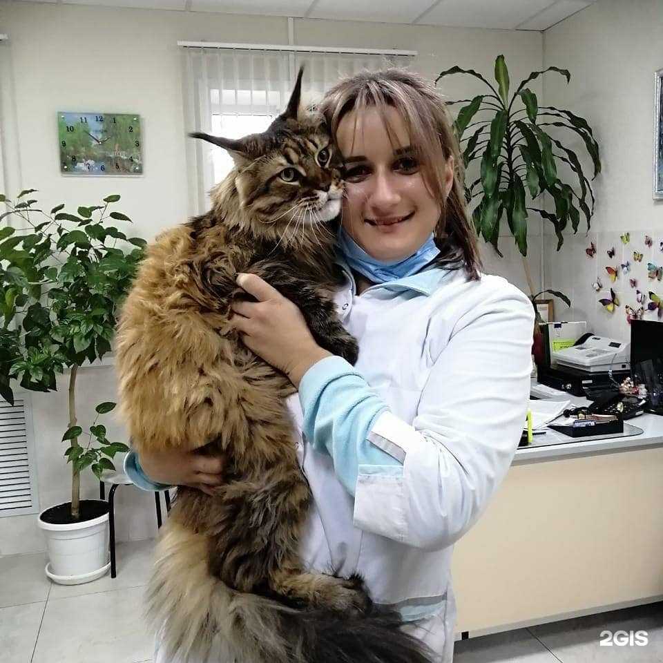 Отзывы на компанию Мокрый нос в г. Пятигорск c фото