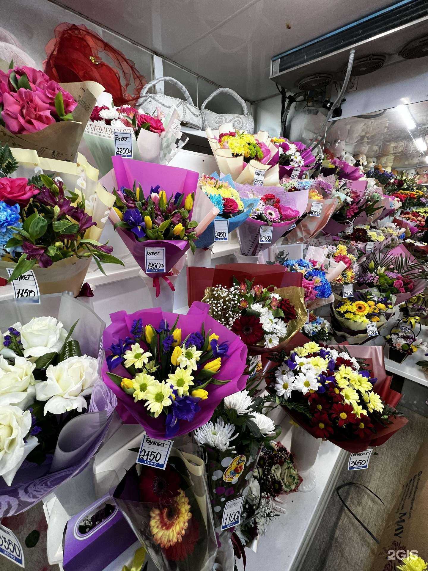 Отзывы на компанию Эсмира в Нижнем Тагиле c фото