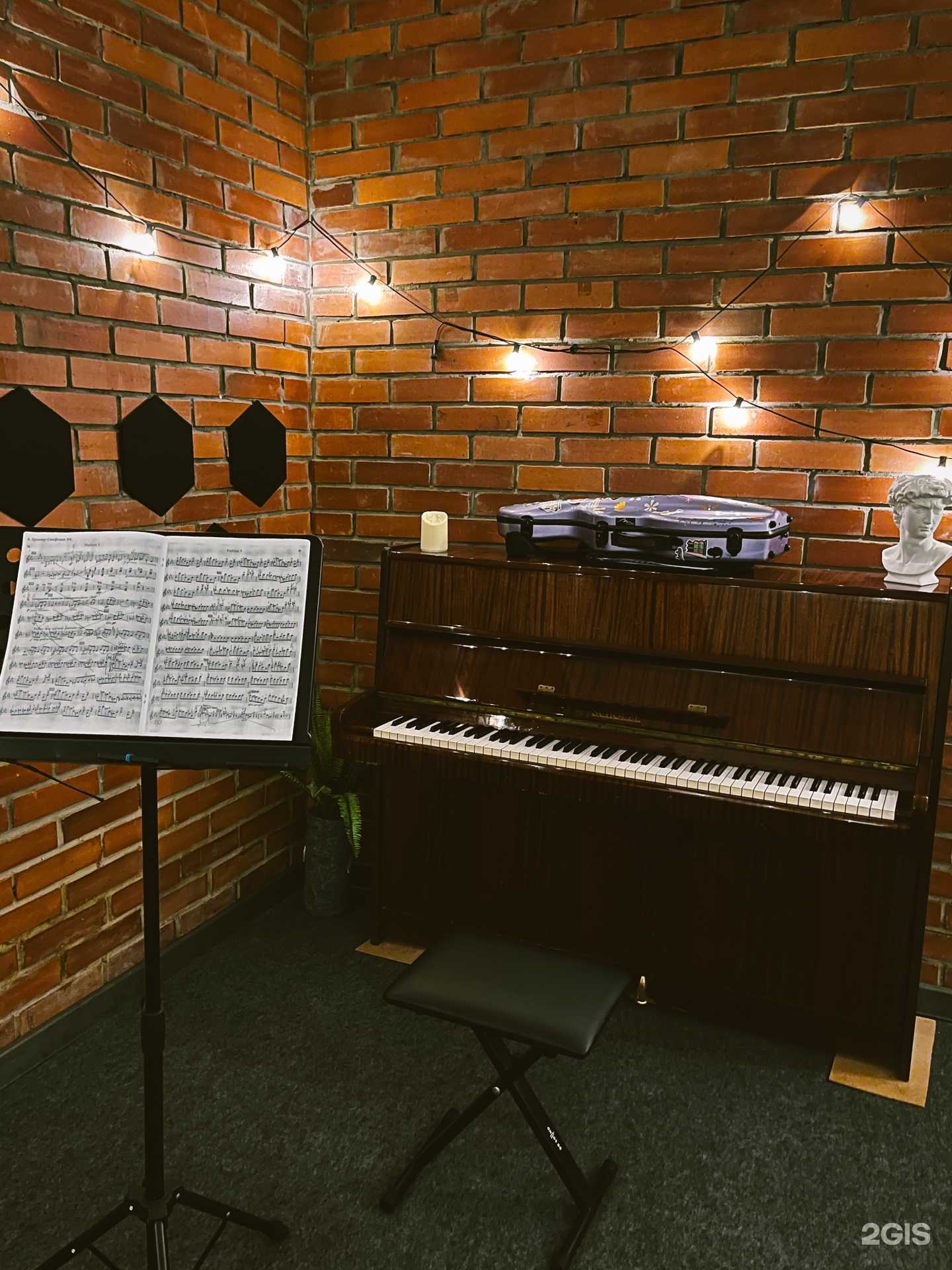 Отзывы на компанию Репточка в г. Новосибирск c фото