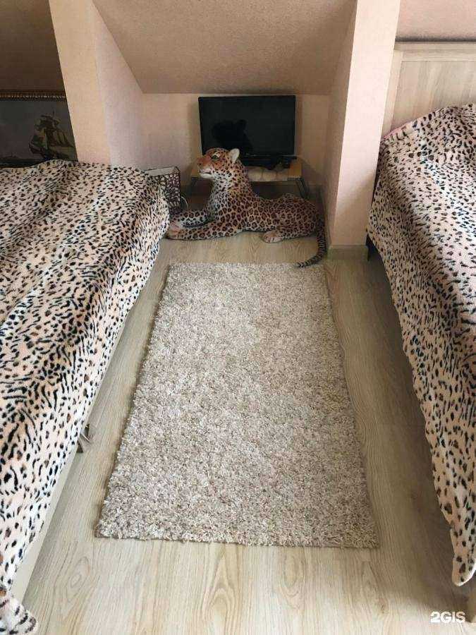 Отзывы на компанию Море удачи в Сочи c фото