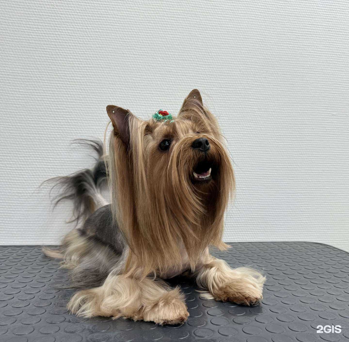 Отзывы на компанию Аврора в Кемерове c фото