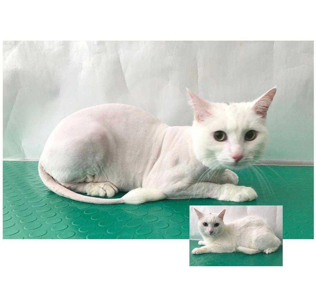 Отзывы на компанию Лик в г. Подольск c фото