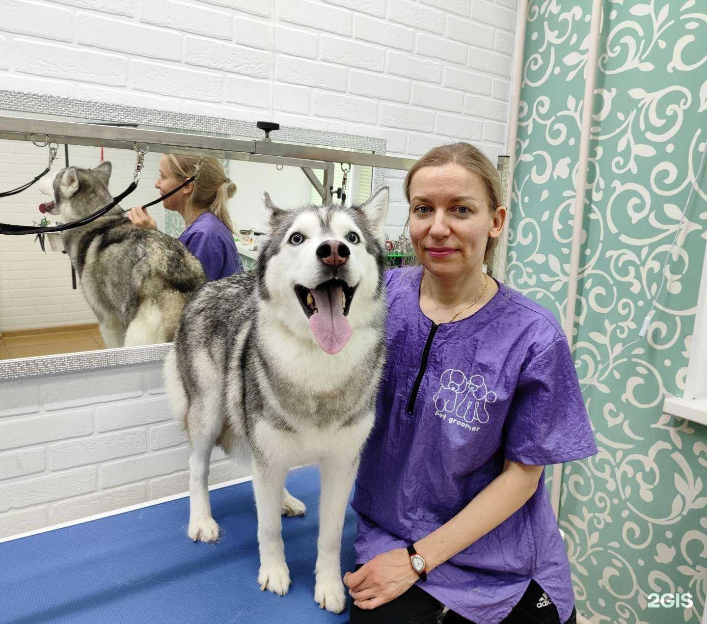 Отзывы на компанию Гансик в г. Ульяновск c фото