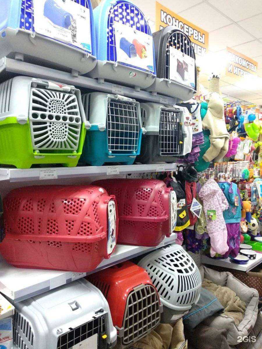 Отзывы на компанию Zooрай в г. Владимир c фото