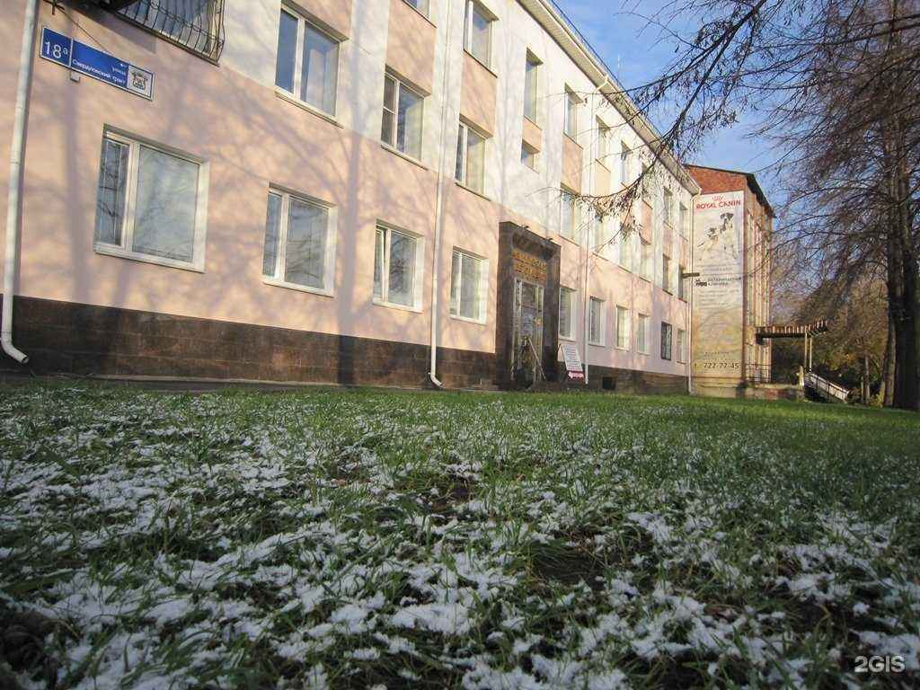 Отзывы на компанию Челябинская городская ветеринарная станция по борьбе с болезнями животных в Челябинске c фото