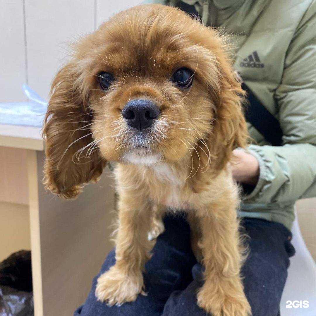 Отзывы на компанию Миллион Друзей в г. Ярославль c фото