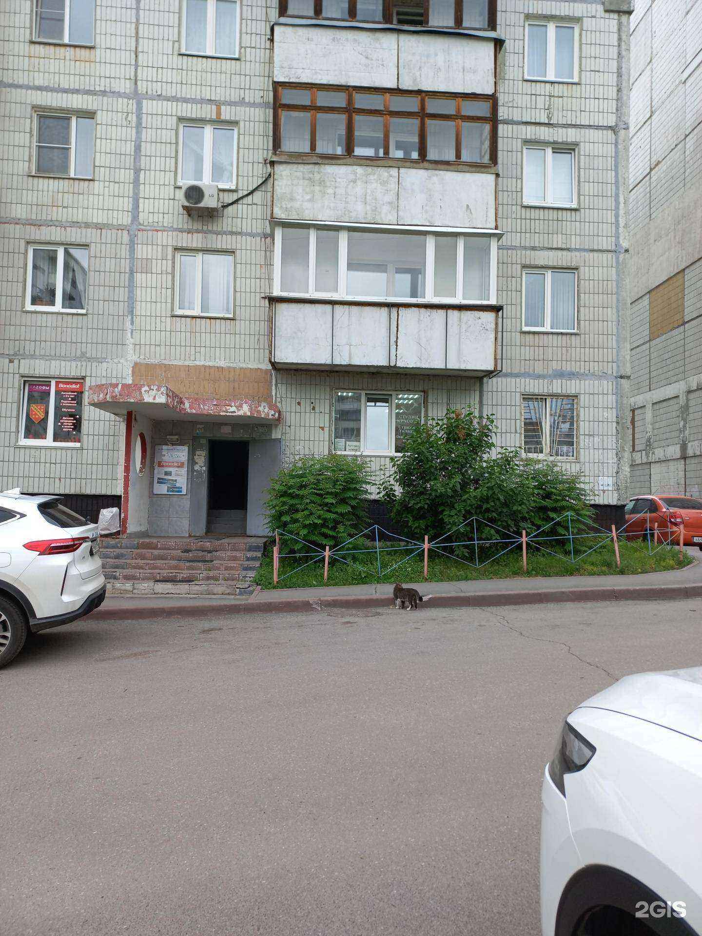 Отзывы на компанию Стрекоза в Кемерове c фото