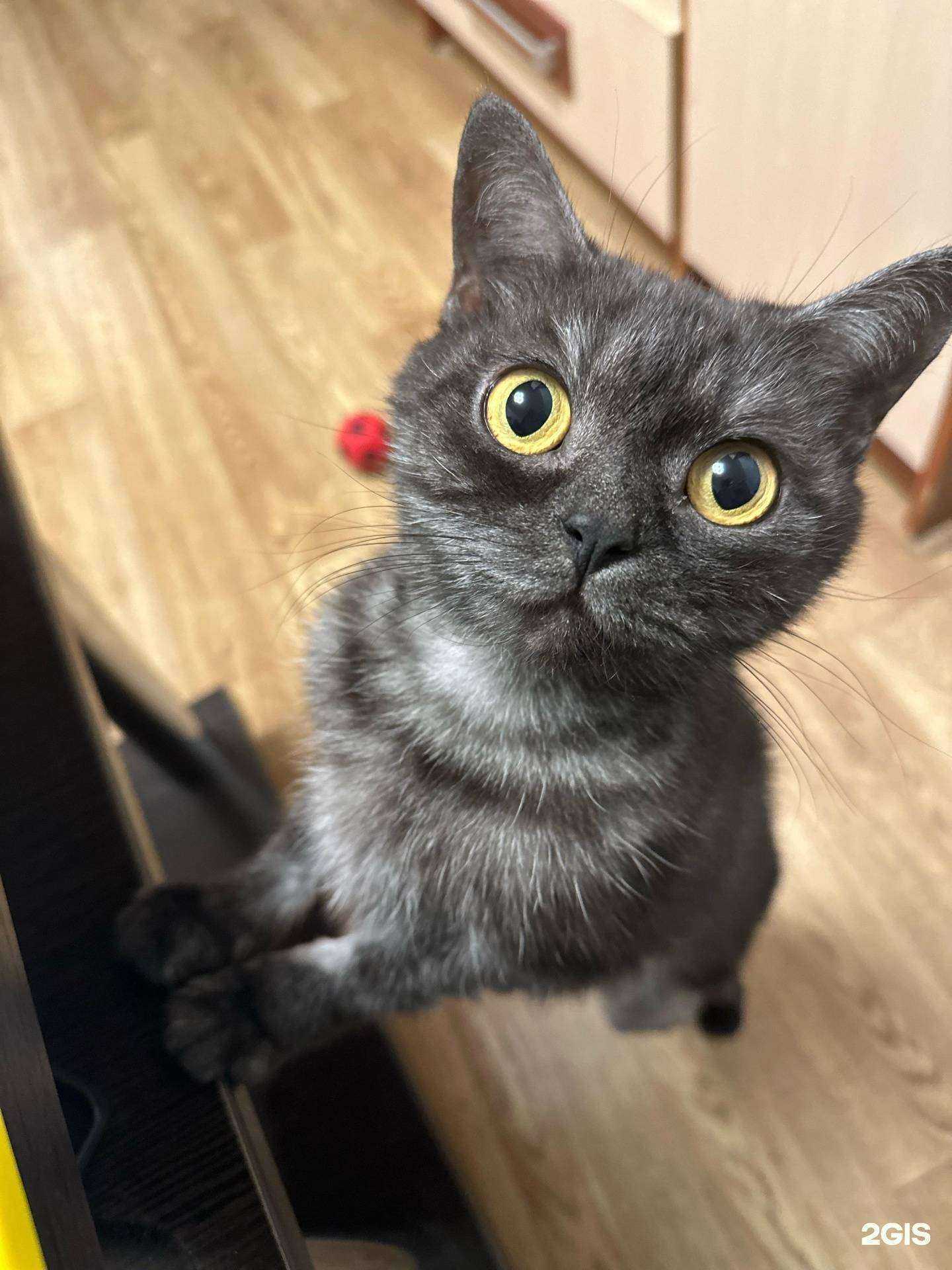 Отзывы на компанию Велес в Ижевске c фото