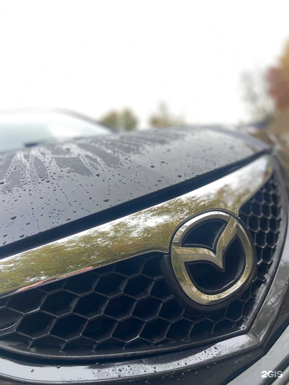 Отзывы на компанию Dream Detailing в Новосибирске c фото