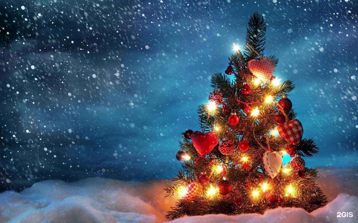 Отзывы на компанию Академия красоты и здоровья в г. Екатеринбург c фото