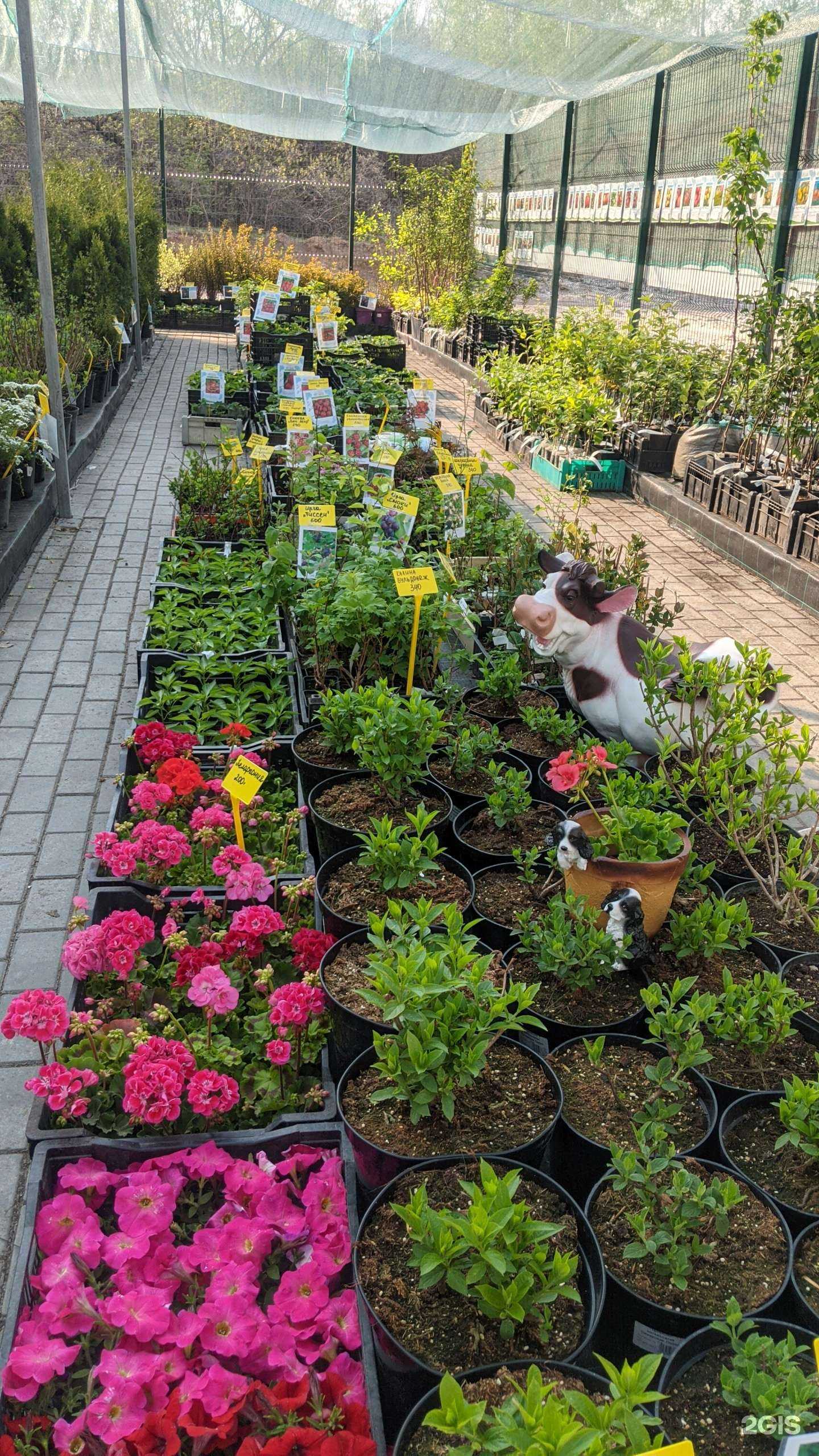 Отзывы на компанию Сады России в Челябинске c фото