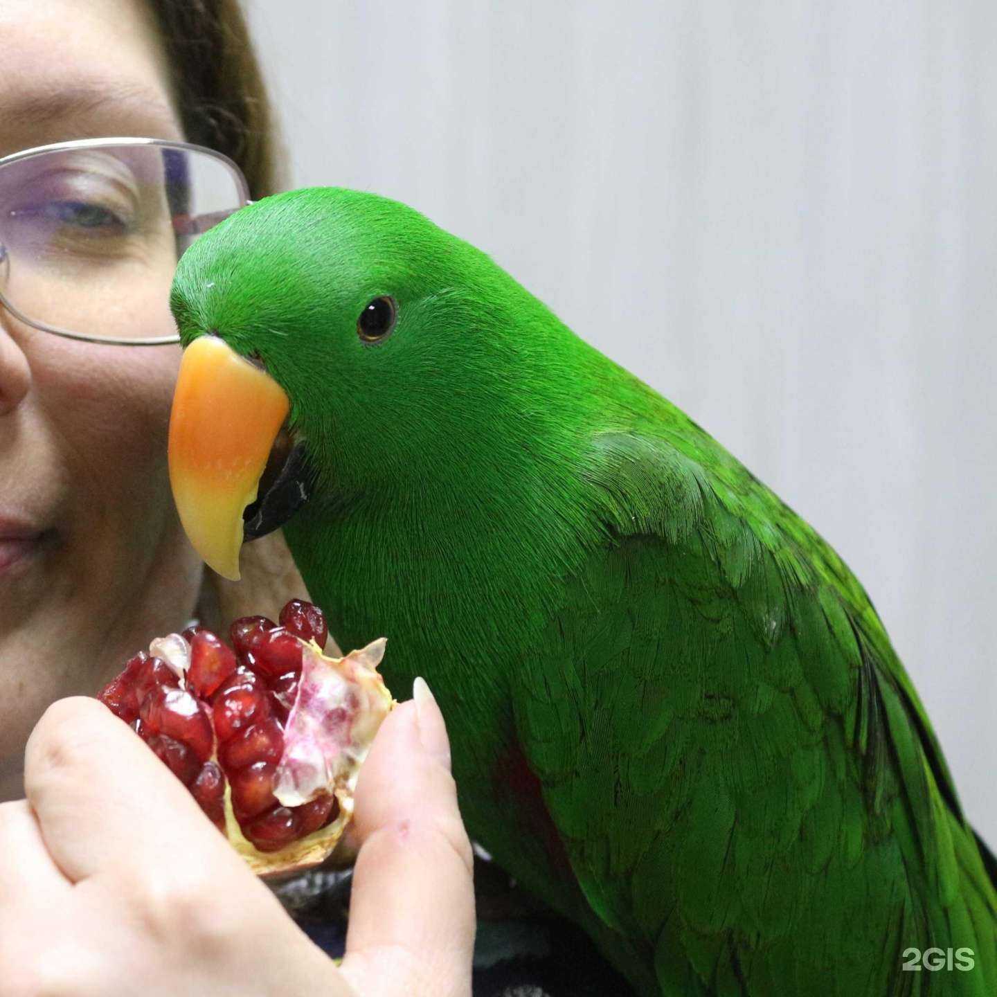 Отзывы на компанию Зооспец в Екатеринбурге c фото