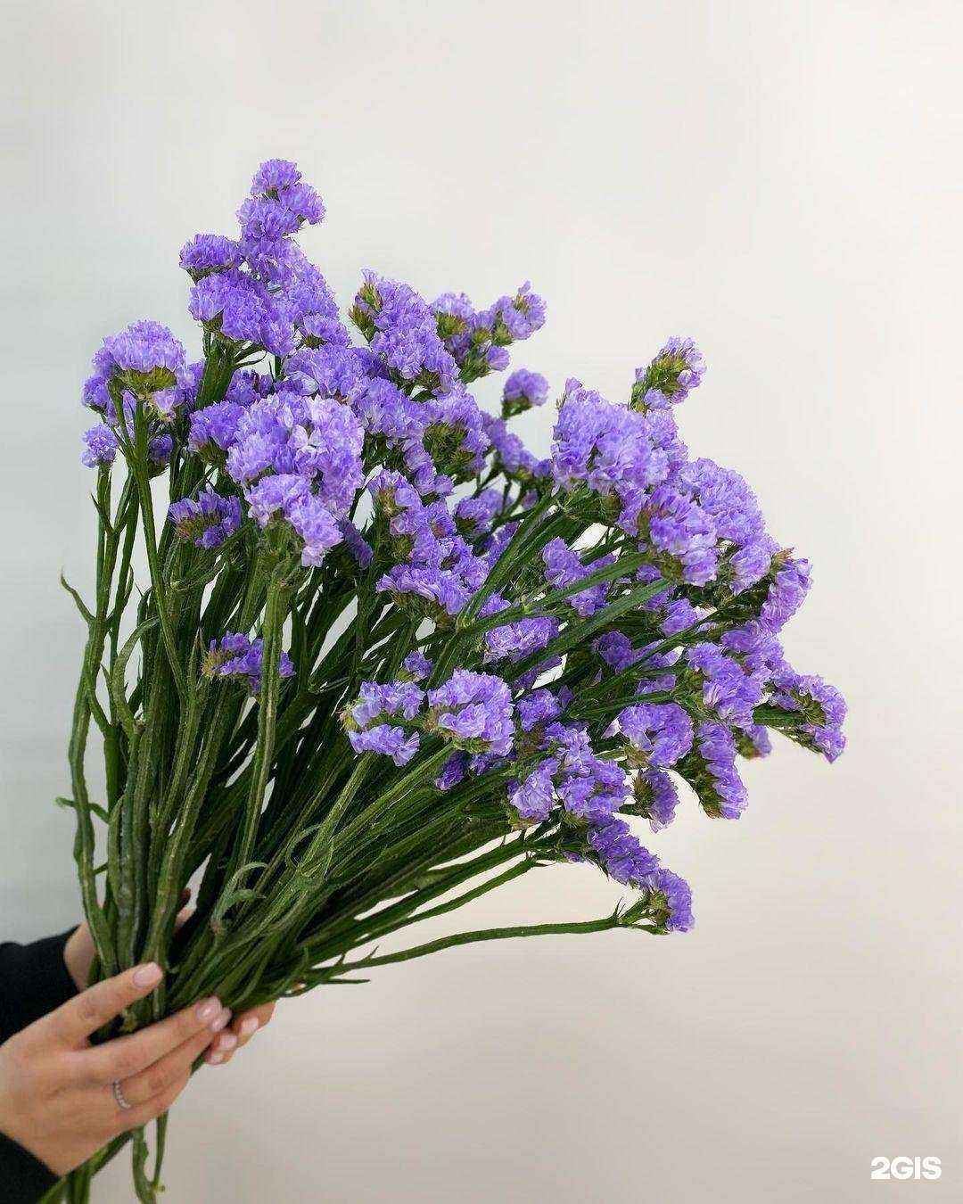 Отзывы на компанию Цвет`ok в г. Петрозаводск c фото