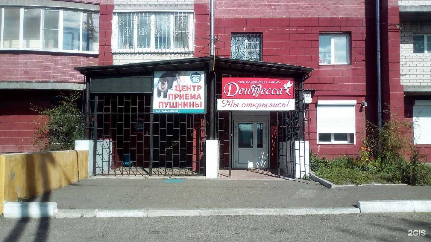 Отзывы на компанию Дентесса в Чите c фото