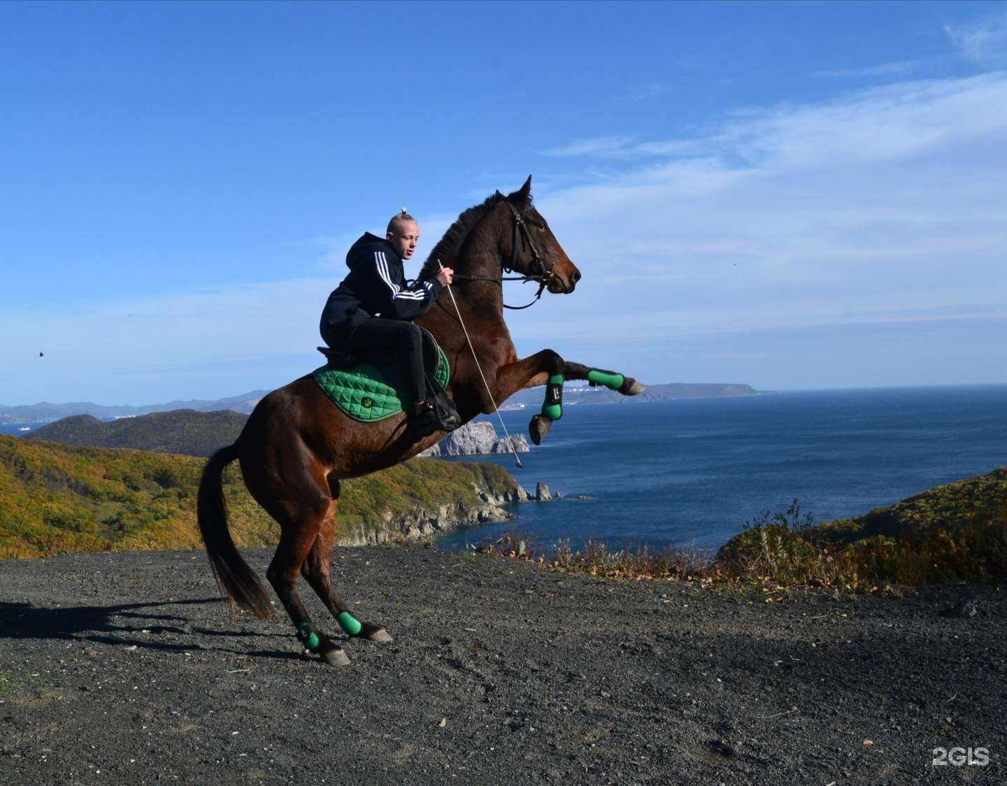 Отзывы на компанию Приоритет авто в Находке c фото - фотография 2 из 2