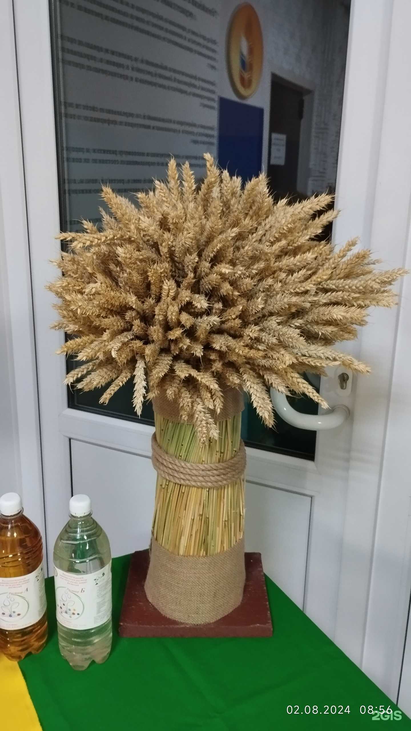 Отзывы на компанию Россельхозцентр в г. Йошкар-Ола c фото