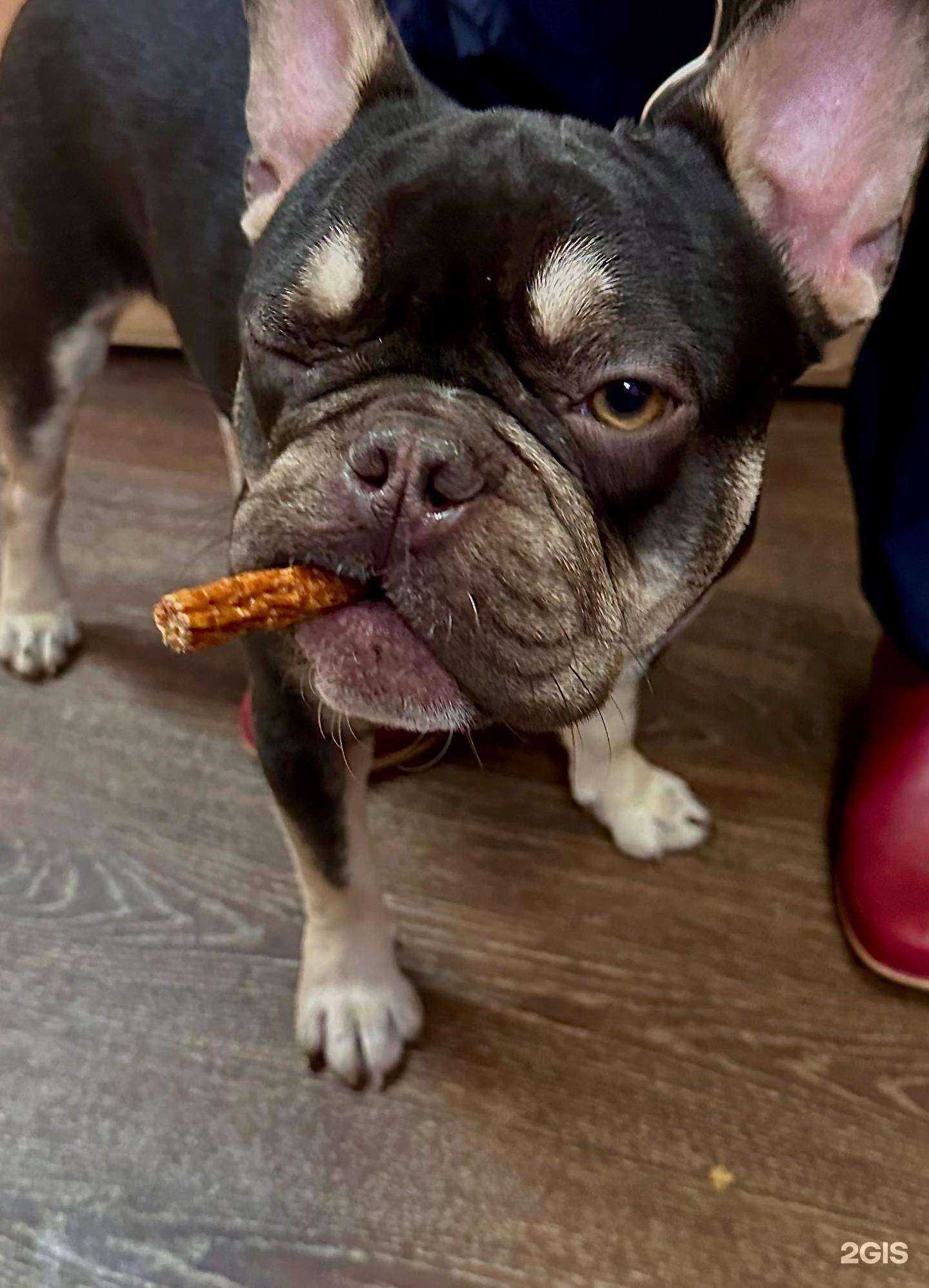 Отзывы на компанию АльфаВет в Химках c фото