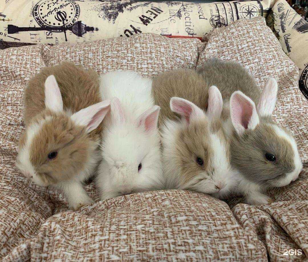 Отзывы на компанию Природа в Нальчике c фото