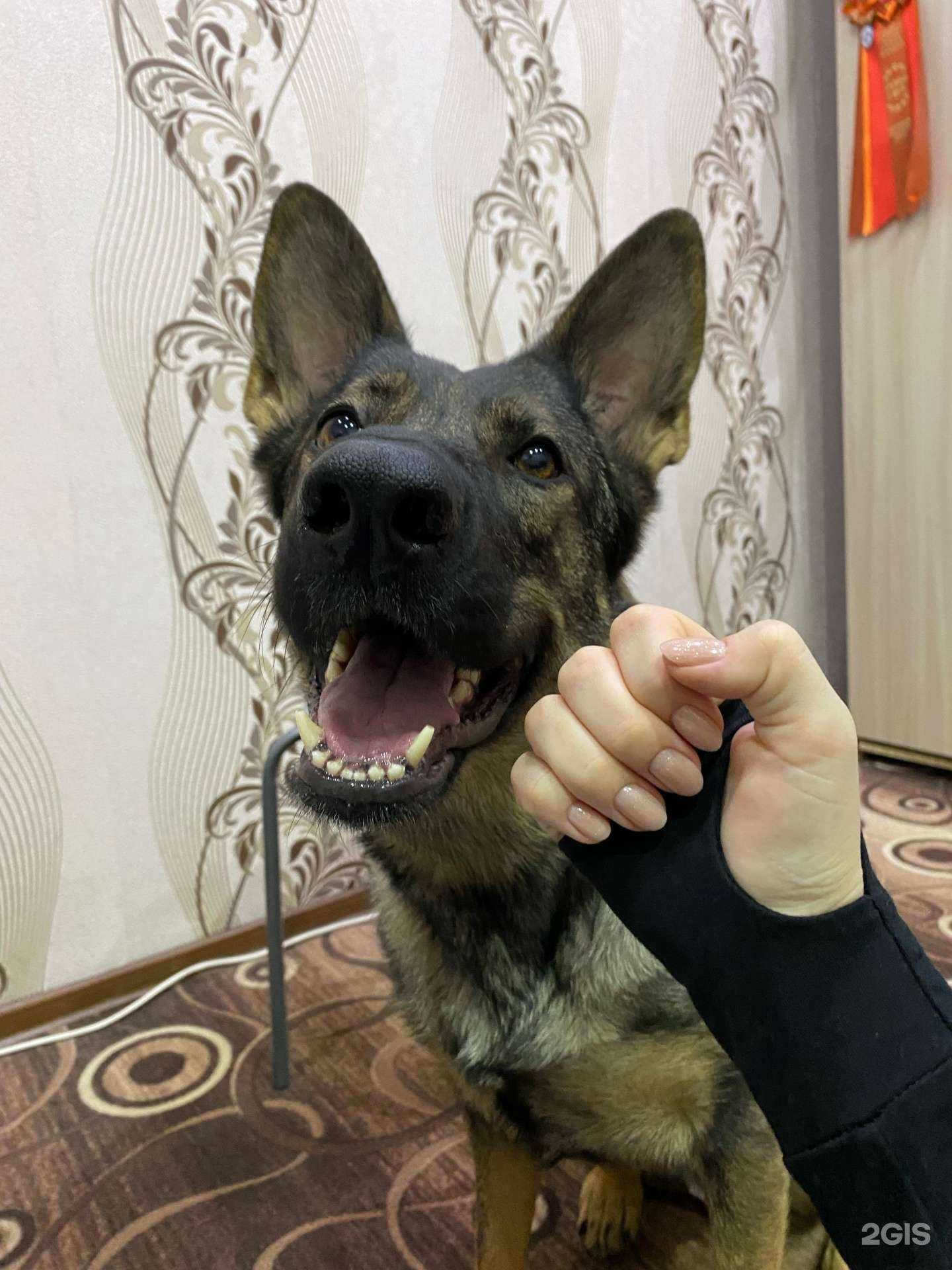 Отзывы на компанию Pilka в Иркутске c фото