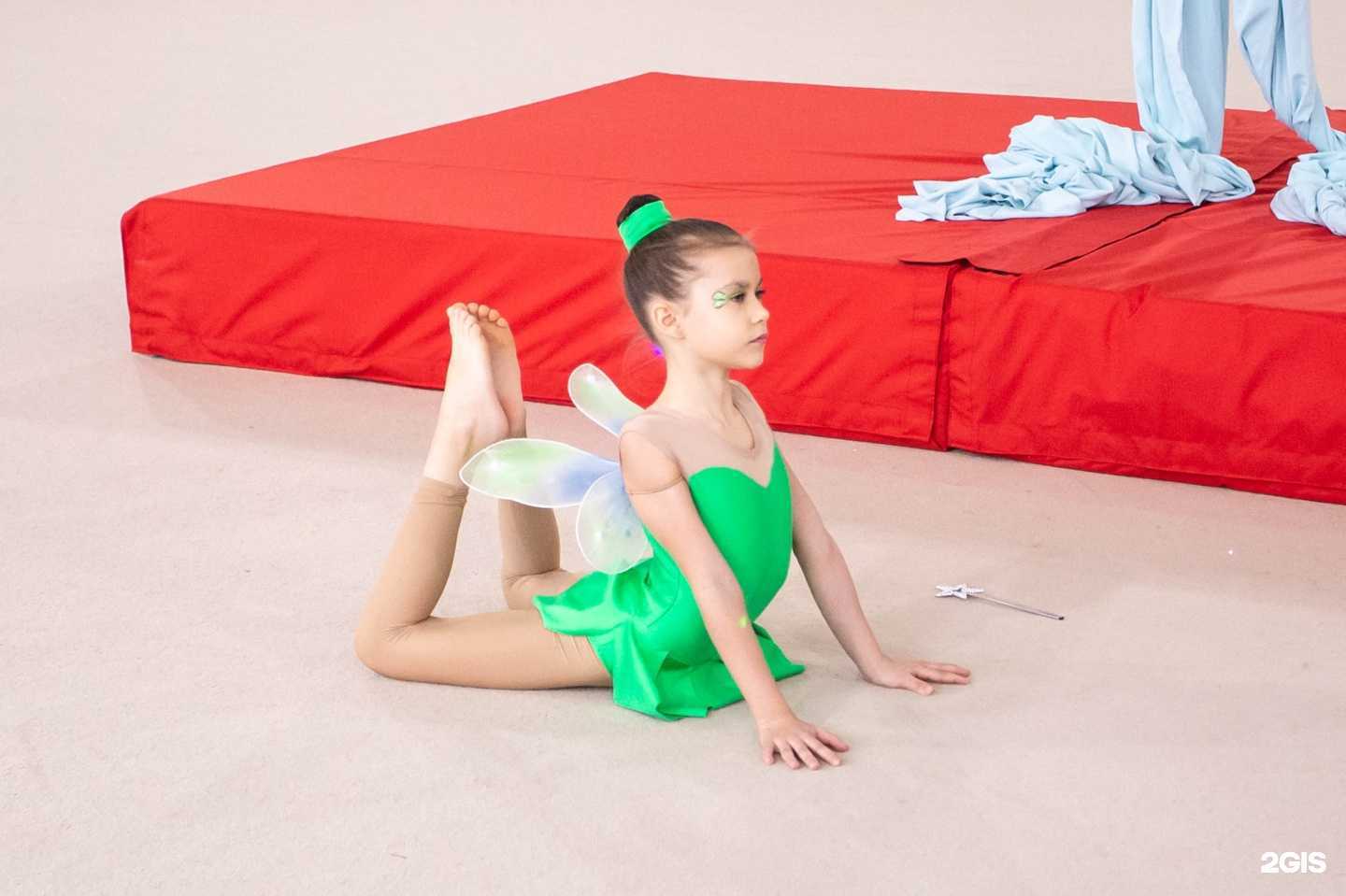 Отзывы на компанию Infinity pole air в Бердске c фото