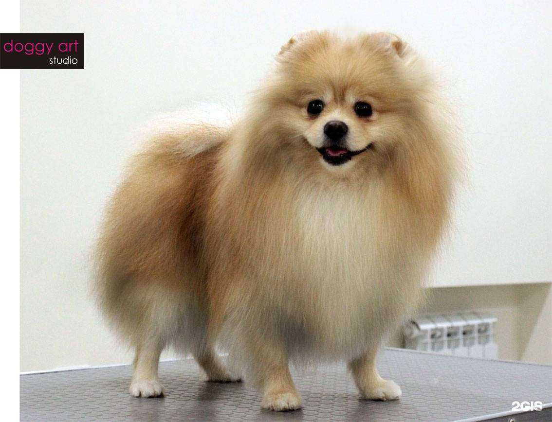 Отзывы на компанию Darling в Самаре c фото