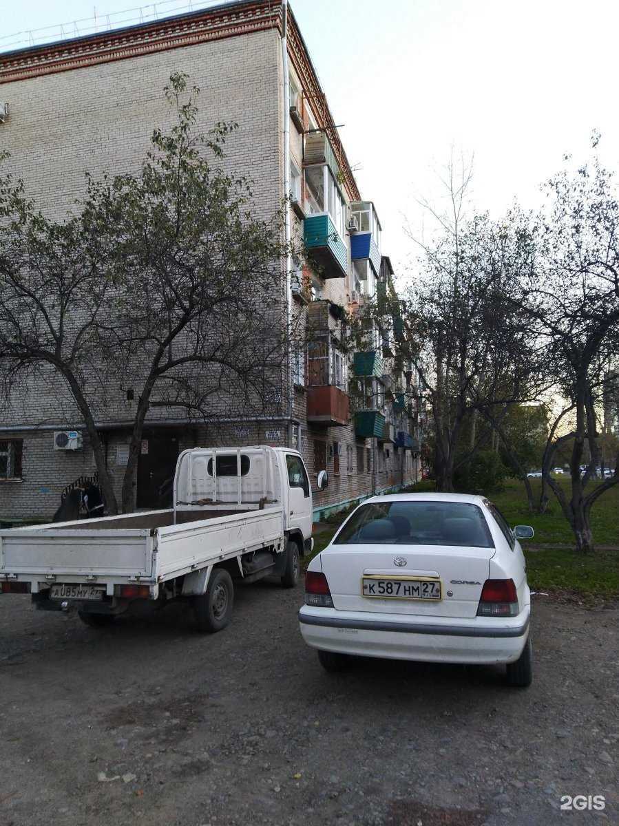 Отзывы на компанию Зоодоктор в Комсомольске-на-Амуре c фото - фотография 2 из 2