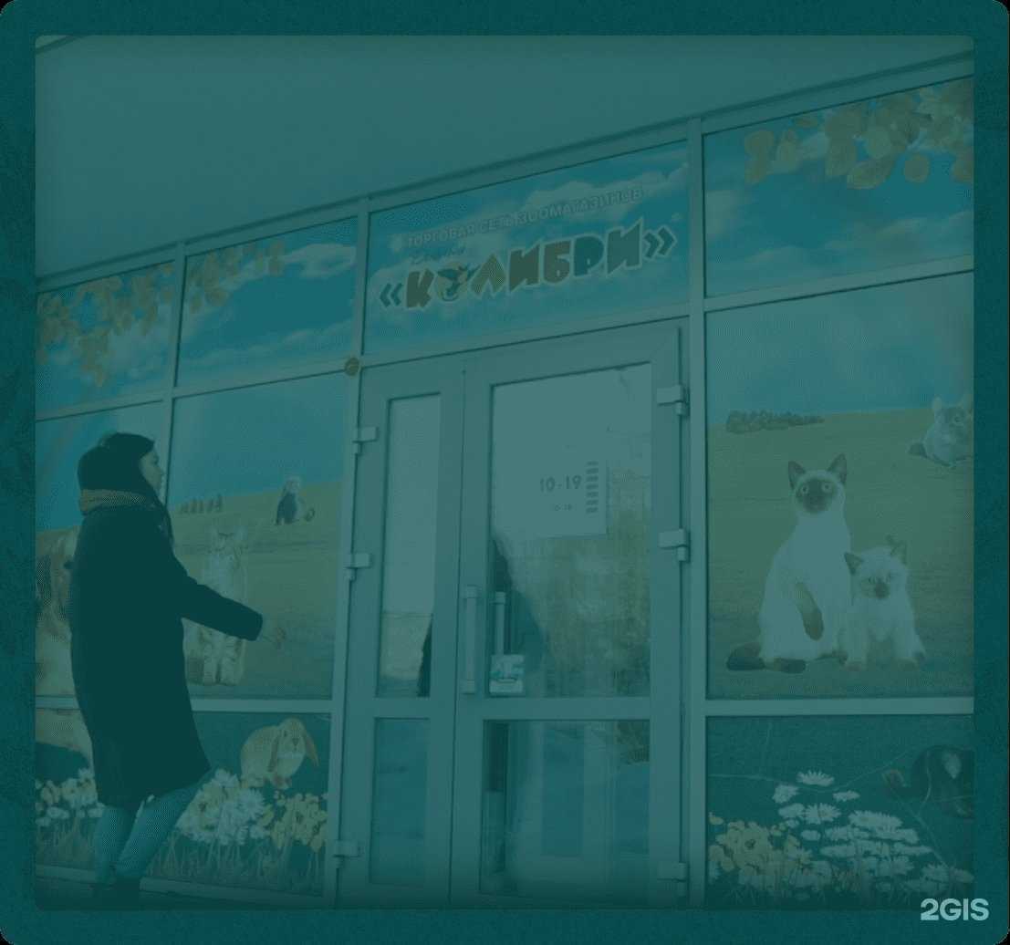 Отзывы на компанию Дивный Колибри в г. Сыктывкар c фото