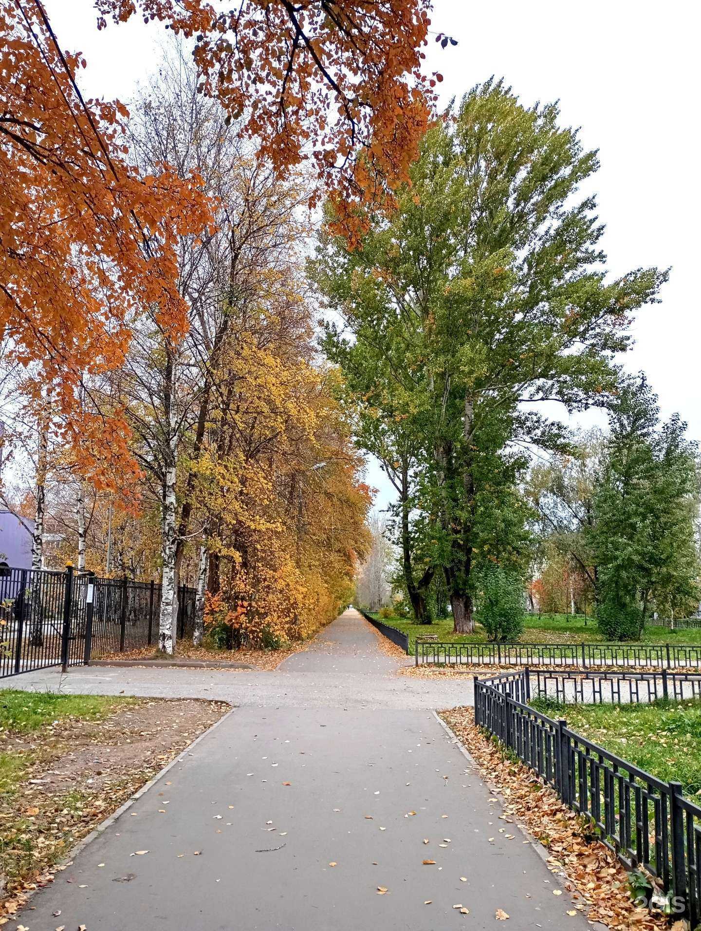 Отзывы на компанию Средняя школа №114 в Перми c фото