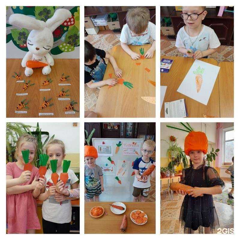 Отзывы на компанию Звёздочка в Владивостоке c фото