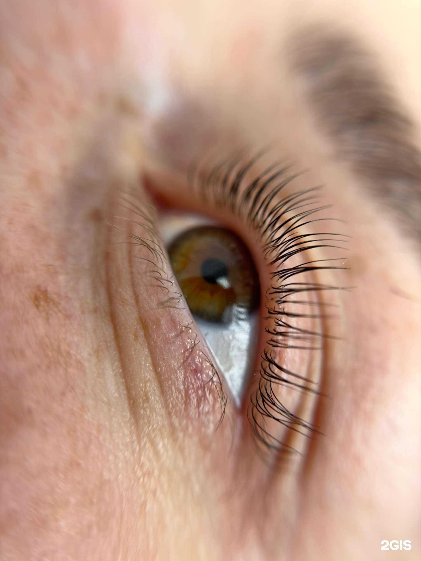 Отзывы на компанию Capsula в г. Корсаков c фото