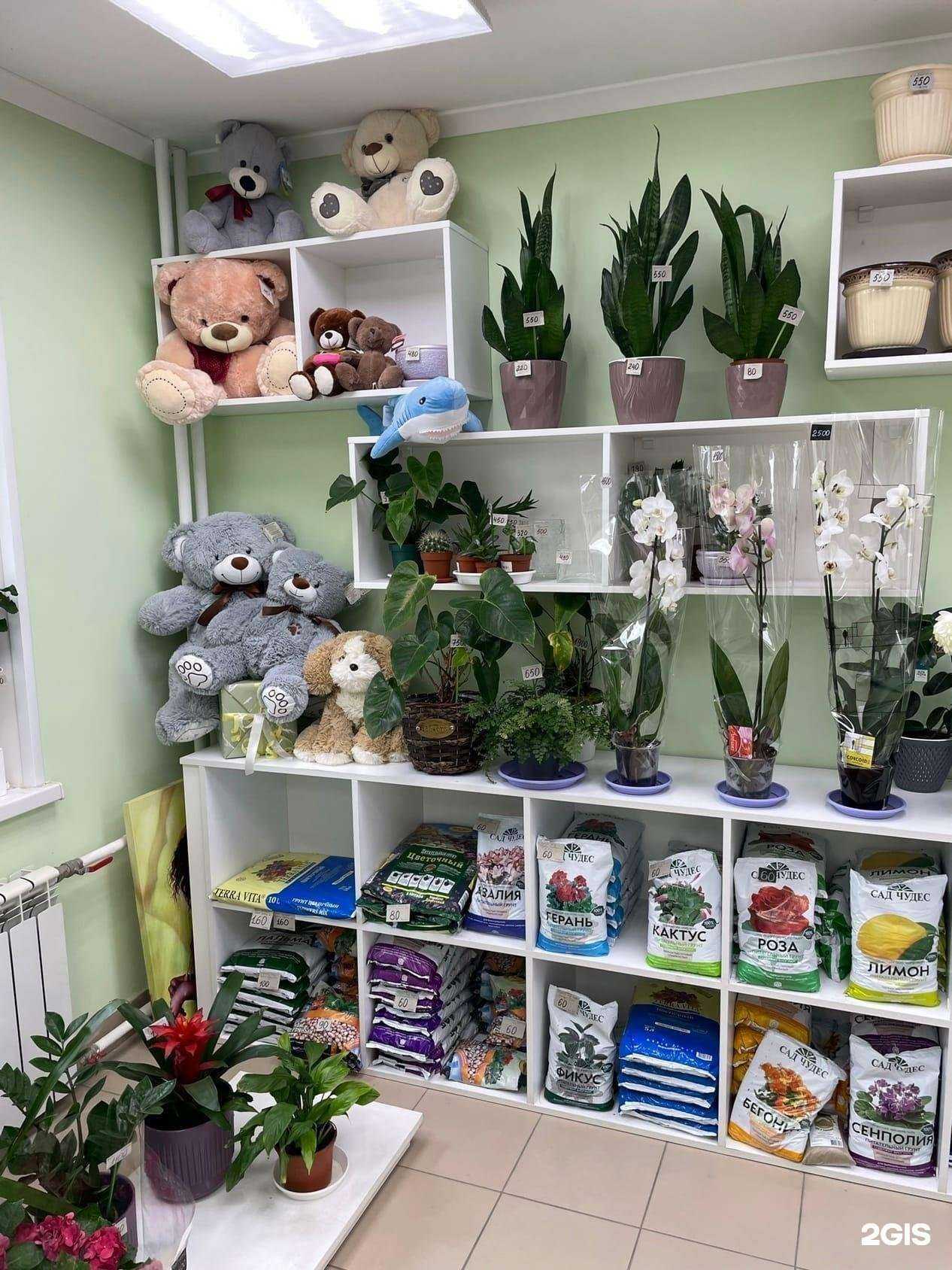 Отзывы на компанию Цветопторг в Челябинске c фото