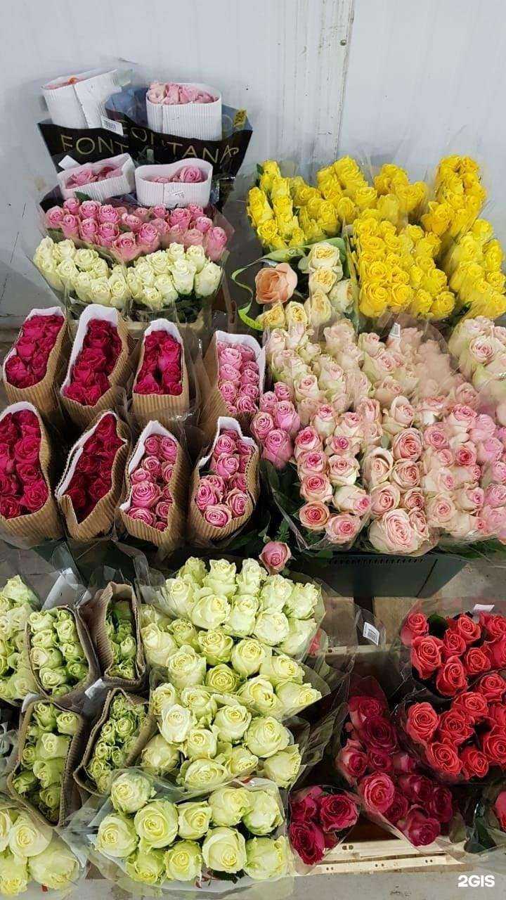 Отзывы на компанию ЦветОптТорг35 в г. Вологда c фото