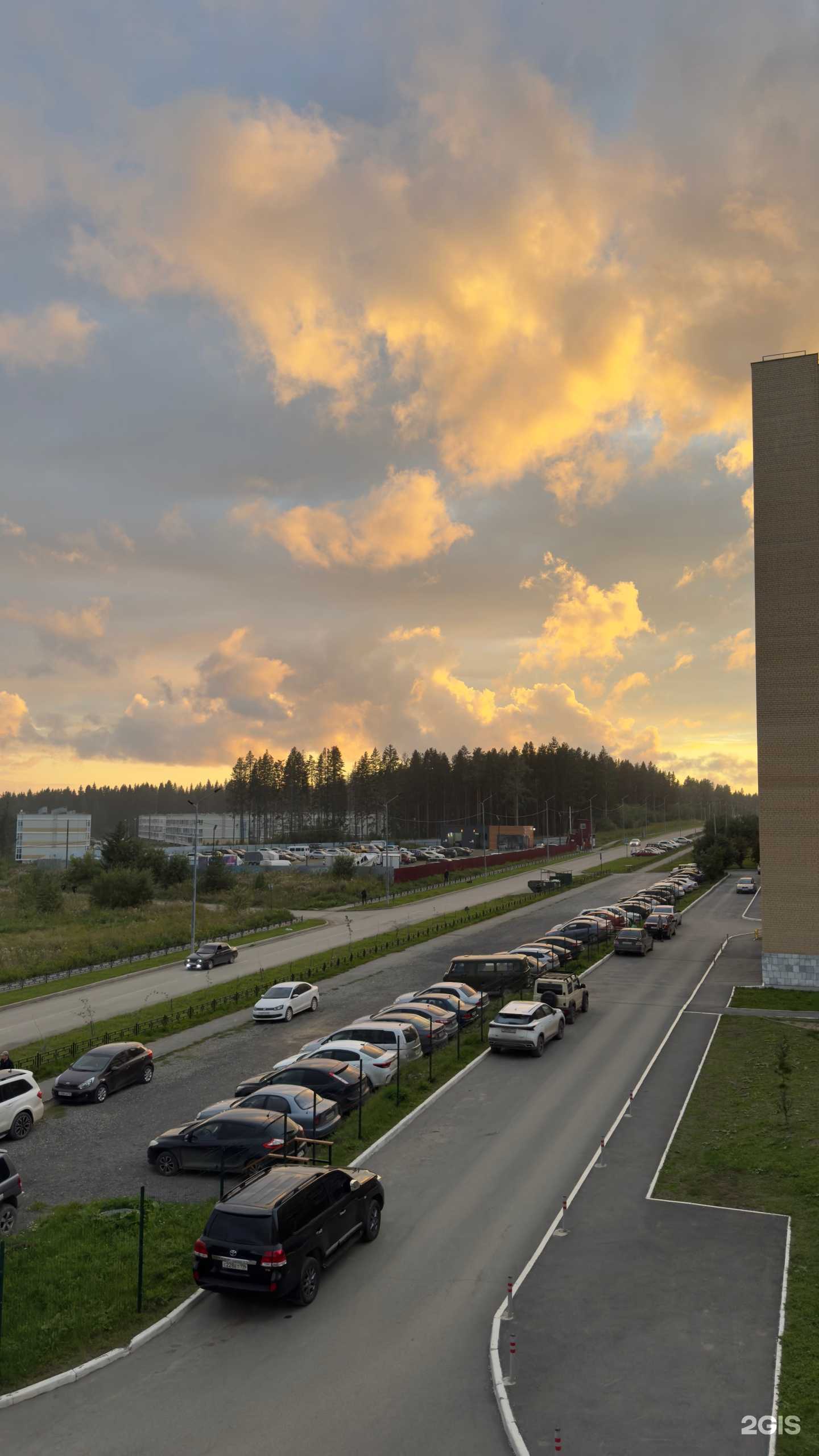 Отзывы на компанию Додо Пицца в г. Ревда c фото