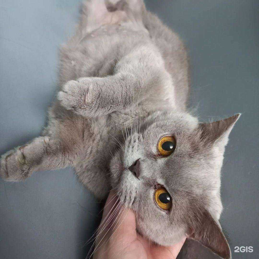 Отзывы на компанию Охотник в г. Орёл c фото