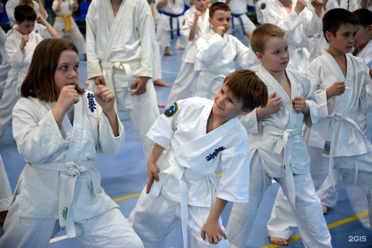 Отзывы на компанию Федерация кекусинкай каратэ в Архангельске c фото