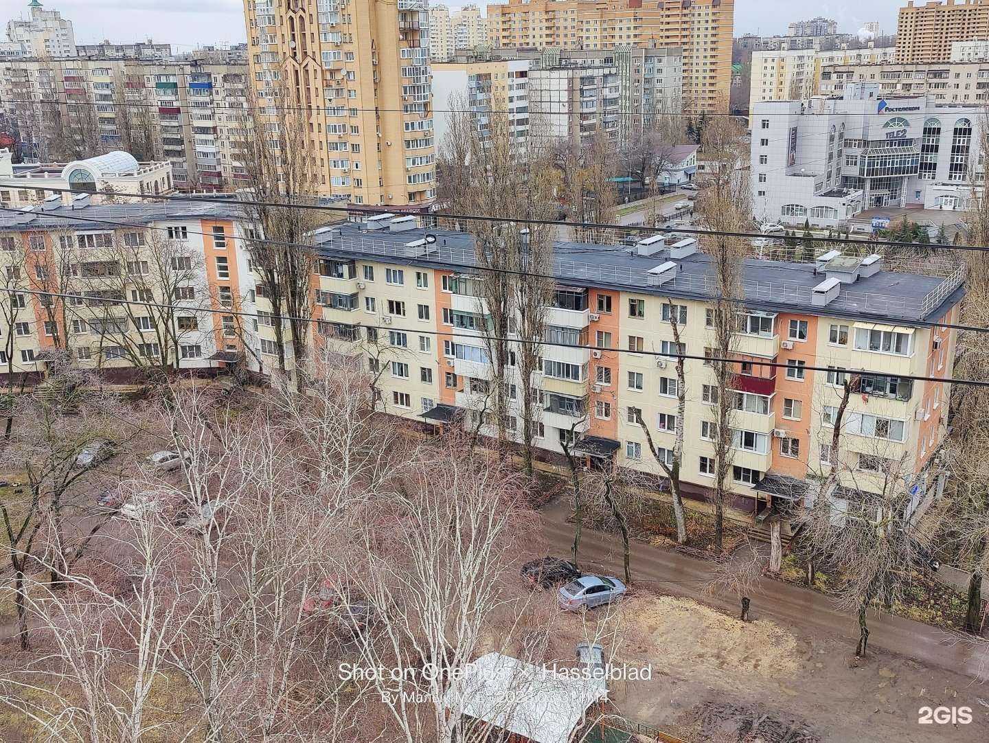 Отзывы на компанию Apelsin в Липецке c фото - фотография 2 из 2