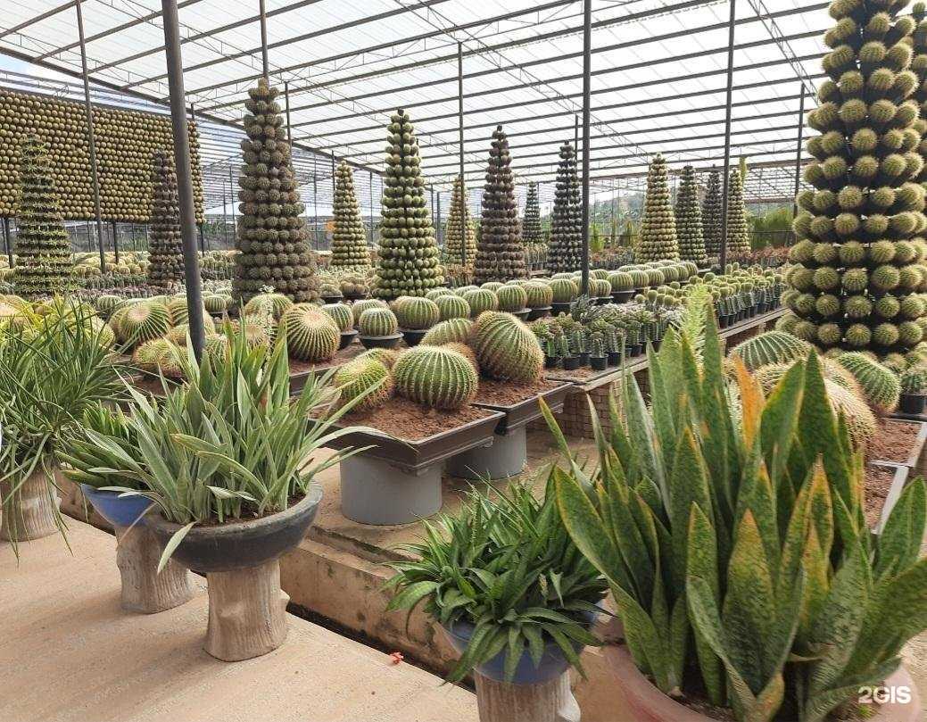 Отзывы на компанию Адриатик-тур в г. Иркутск c фото