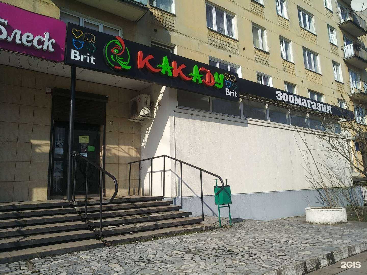 Отзывы на компанию Какаду в Светлом c фото