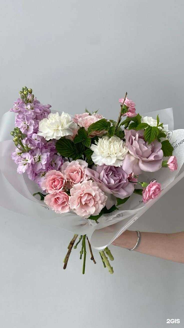 Отзывы на компанию Amilaf в г. Махачкала c фото