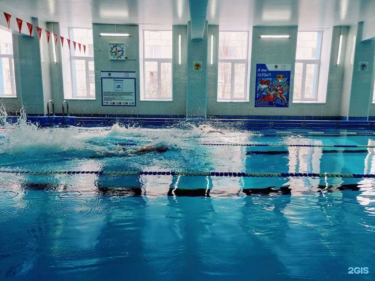 Отзывы на компанию Дельфин в г. Надым c фото