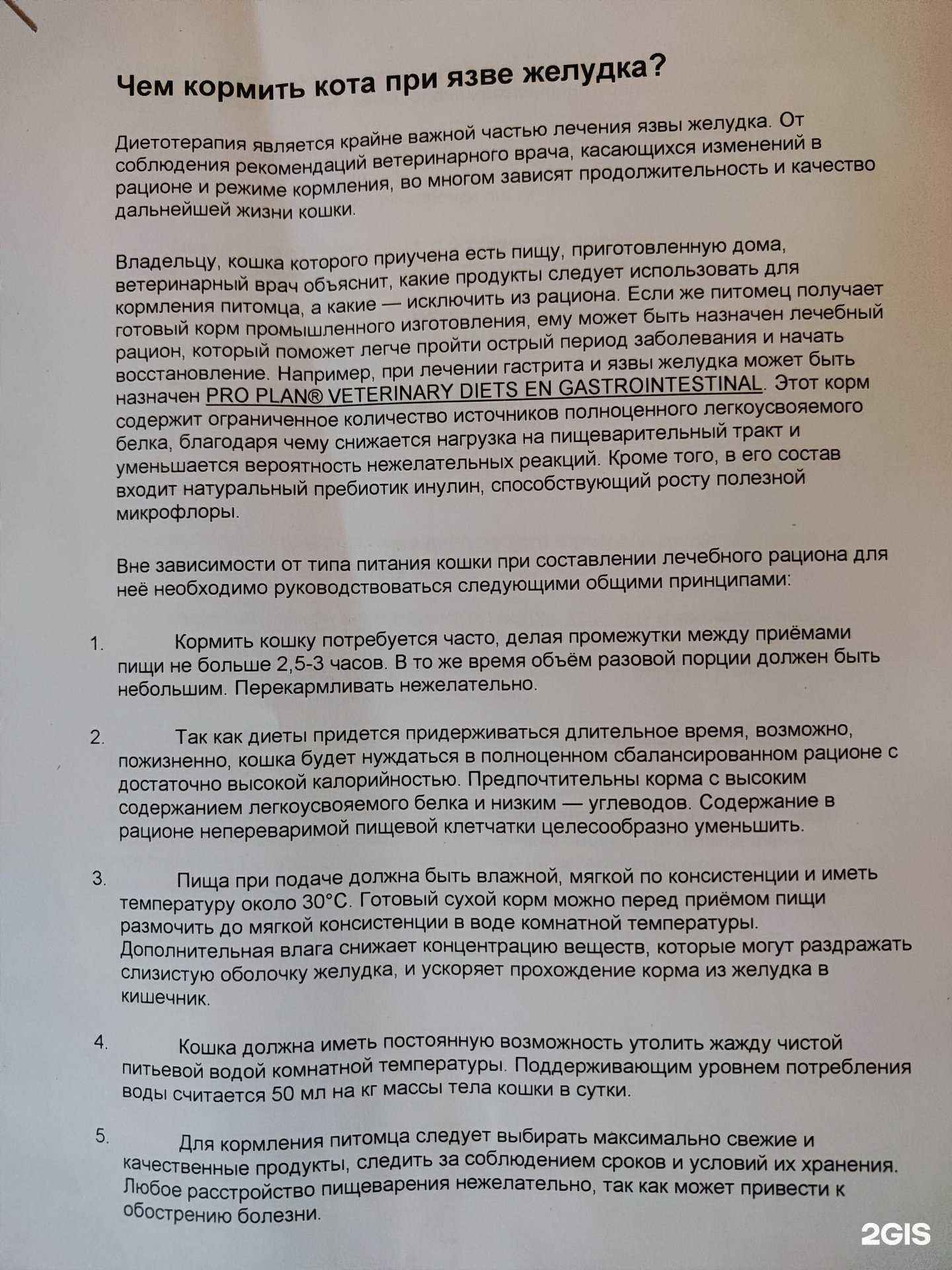 Отзывы на компанию Zoo доктор в Михайловке c фото