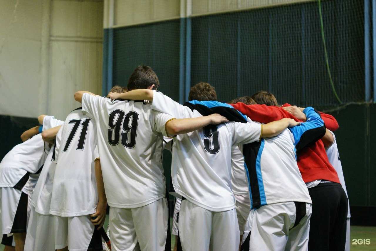 Отзывы на компанию Тайфун в Отрадном c фото