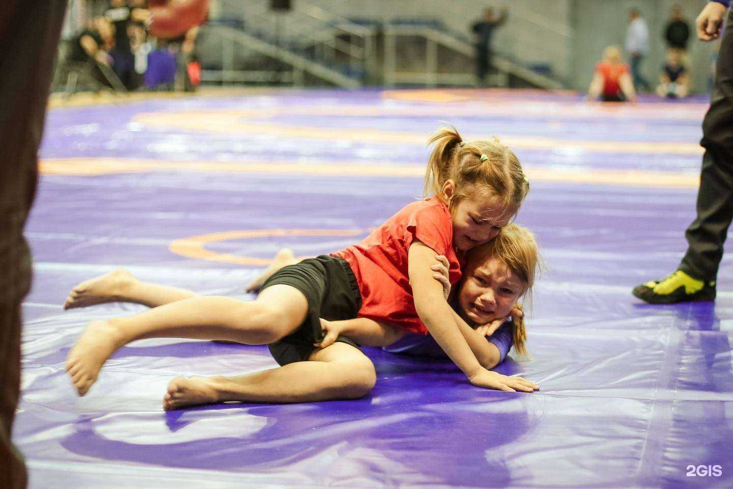 Отзывы на компанию Коловрат в Иркутске c фото