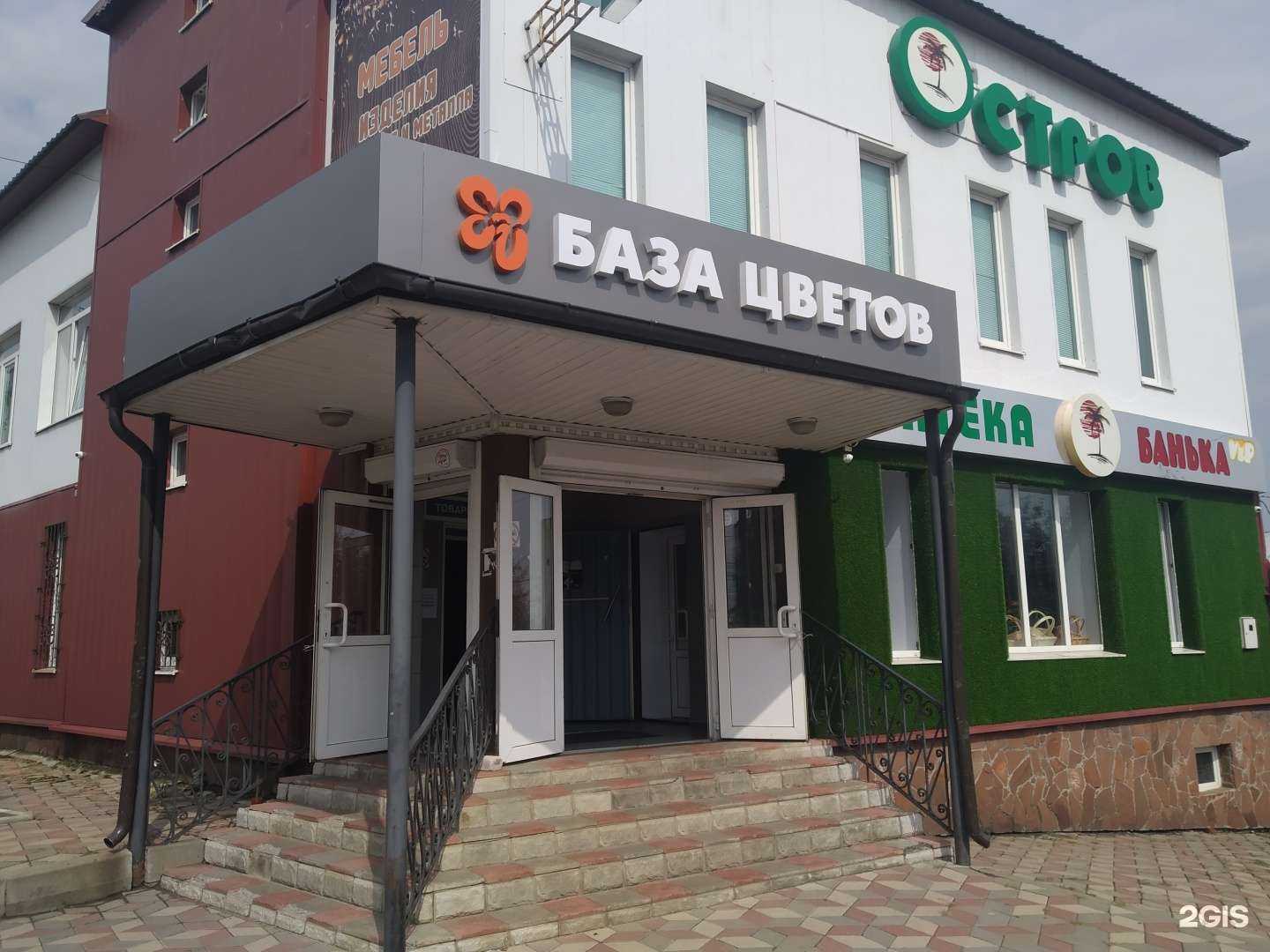 Отзывы на компанию База цветов в г. Курск c фото